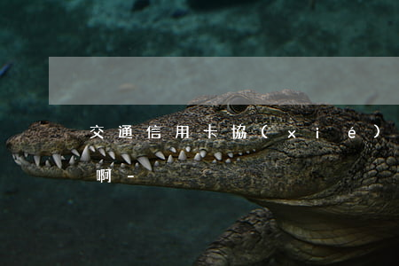 交通信用卡協(xié)商還款熱線是多少啊-