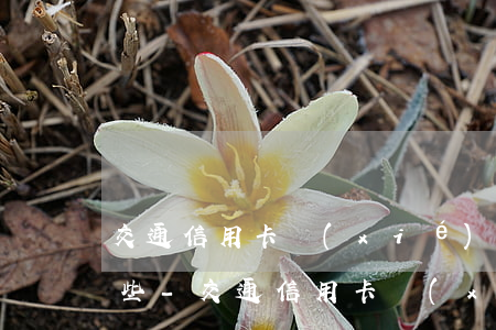 交通信用卡協(xié)商還款的條件有哪些-交通信用卡協(xié)商還款的條件有哪些呢