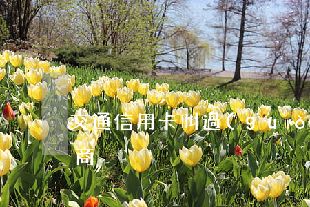 交通信用卡叫過(guò)去協(xié)商