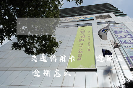 交通信用卡單張逾期三萬怎么辦(3張信用卡逾期怎么辦)