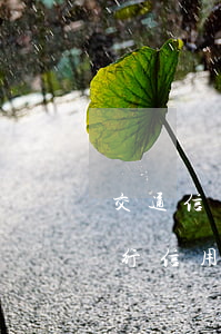 交通信用卡好不好協(xié)商 怎么和交行信用卡協(xié)商還款