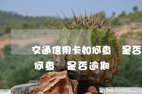 交通信用卡如何查詢是否逾期(交通信用卡如何查詢是否逾期)