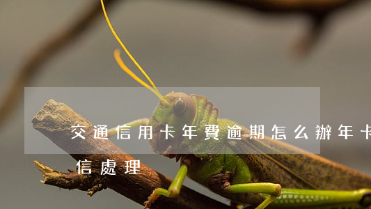 交通信用卡年費逾期怎么辦(年卡費用逾期征信處理)