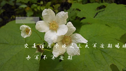 交通信用卡晚还三天算逾期吗(晚还4天信用卡算不算逾期)