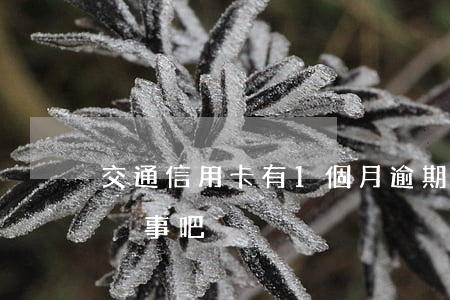 交通信用卡有1個月逾期(信用卡逾期一個月沒事吧)