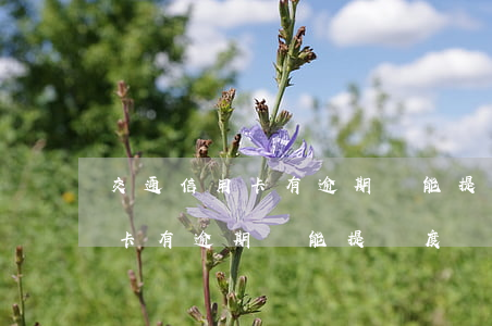 交通信用卡有逾期還能提額度嗎-交通信用卡有逾期還能提額度嗎現(xiàn)在