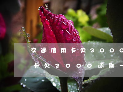交通信用卡欠2000逾期一年-交通信用卡欠2000逾期一年會(huì)怎么樣