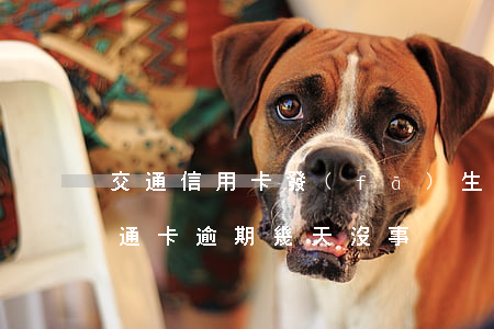 交通信用卡發(fā)生短暫逾期怎么辦(交通卡逾期幾天沒事)