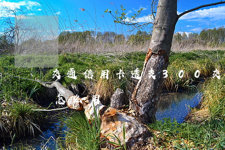 交通信用卡透支300(交通信用卡透支額度怎么用)