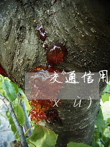 交通信用卡透支轉(zhuǎn)賬手續(xù)費(fèi)(交通信用卡透支轉(zhuǎn)賬手續(xù)費(fèi))