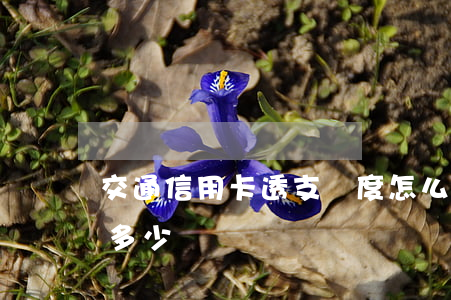 交通信用卡透支額度怎么還(交通卡透支額度多少)