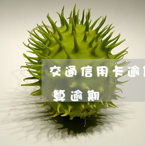 交通信用卡逾期10分鐘(信用卡逾期兩分鐘算逾期嗎)