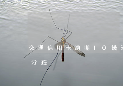 交通信用卡逾期10幾天(信用卡逾期了十幾分鐘)