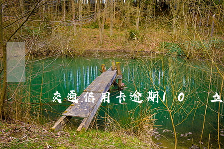 交通信用卡逾期10萬立案怎么辦