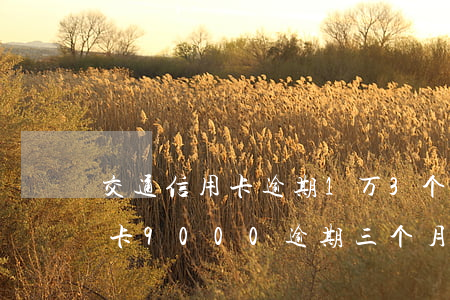 交通信用卡逾期1万3个月会怎样(交通信用卡9000逾期三个月了,会怎么样)