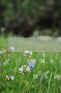 交通信用卡逾期2021新规(2021年信用卡逾期政策)