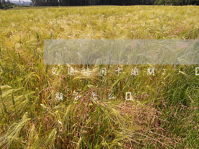交通信用卡逾期21塊錢(信用卡欠20塊逾期了怎么辦)