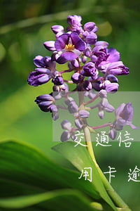 交通信用卡逾期2万会不会上门起诉（交通信用卡逾期2万会不会上门）