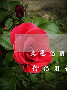 交通信用卡逾期2个月了怎么协商(欠交通银行信用卡逾期几个月了会怎么办)