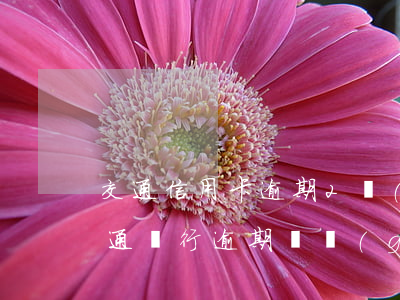 交通信用卡逾期2個(gè)月說要上門(交通銀行逾期兩個(gè)月會(huì)打通訊錄電話嘛)