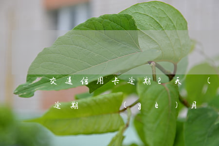 交通信用卡逾期2天沒(méi)有還(交通逾期兩個(gè)月)
