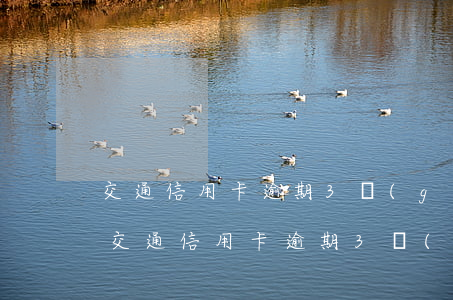 交通信用卡逾期3個(gè)月該怎么辦-交通信用卡逾期3個(gè)月該怎么辦理
