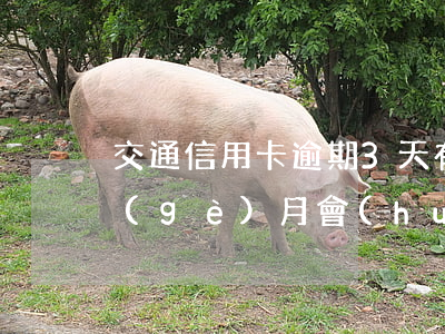 交通信用卡逾期3天有影響嗎 交通逾期三個(gè)月會(huì)怎么樣