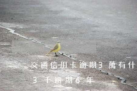 交通信用卡逾期3萬有什么后果(交通信用卡3千逾期6年)