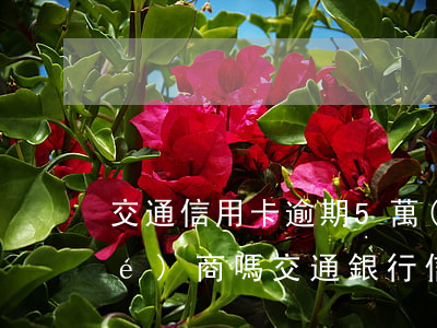 交通信用卡逾期5萬(wàn)能協(xié)商嗎(交通銀行信用卡1萬(wàn)4逾期了)