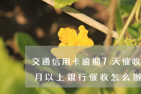 交通信用卡逾期7天催收 欠信用卡逾期3個月以上,銀行催收怎么辦?
