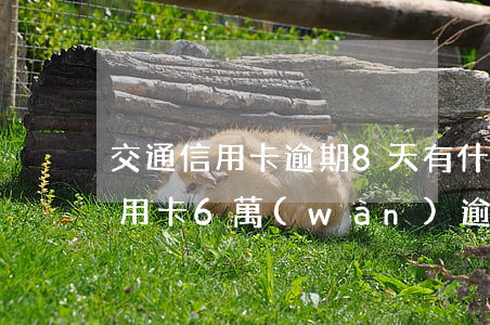 交通信用卡逾期8天有什么影響 交通銀行信用卡6萬(wàn)逾期4個(gè)月會(huì)不會(huì)坐牢