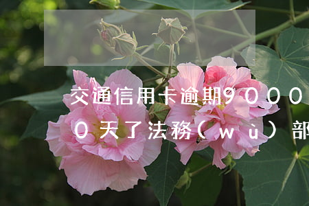 交通信用卡逾期9000(交通信用卡逾期90天了,法務(wù)部說(shuō)要移交訴訟)