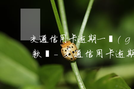 交通信用卡逾期一個(gè)月可以最低還款嗎-交通信用卡逾期一個(gè)月可以最低還款嗎
