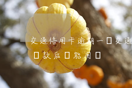 交通信用卡逾期一個(交通信用卡逾期一個月還款后還能用嗎)