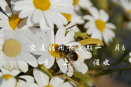 交通信用卡逾期一個月6 交通信用卡逾期一個月會上門來催收嗎