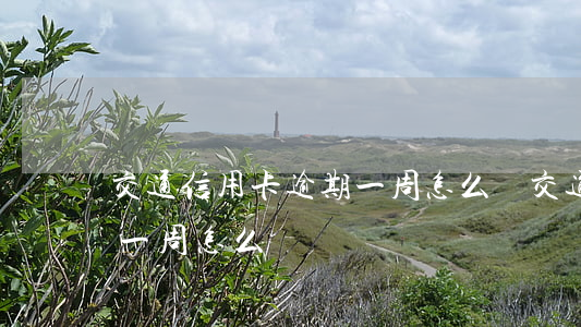 交通信用卡逾期一周怎么辦 交通信用卡逾期一周怎么辦
