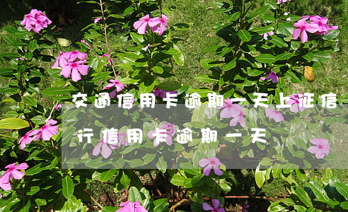 交通信用卡逾期一天上征信嗎上海-交通銀行信用卡 逾期一天