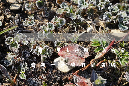 交通信用卡逾期一天會有影響嗎（交通信用卡逾期一天會有影響嗎）