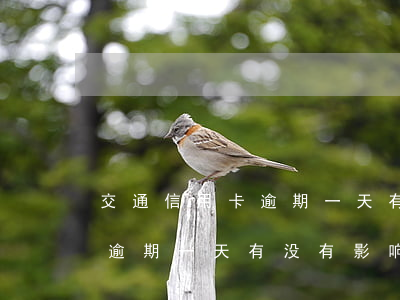 交通信用卡逾期一天有问题吗-银行信用卡逾期一天有没有影响?