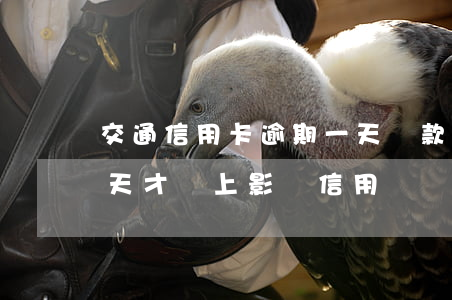 交通信用卡逾期一天還款(交通信用卡逾期兩天才還上,影響信用記錄嗎)