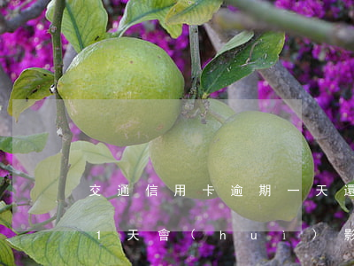 交通信用卡逾期一天還能用嗎(交通銀行逾期1天會(huì)影響征信而且信用卡不能用)