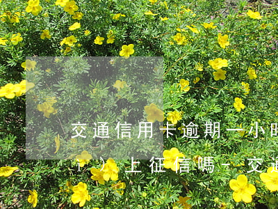 交通信用卡逾期一小時(shí)會(huì)上征信嗎-交通銀行信用卡 逾期一天