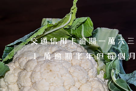 交通信用卡逾期一萬六三個月-交通信用卡1萬逾期半年,但每個月還一點(diǎn)