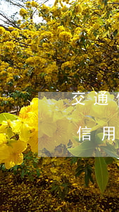 交通信用卡逾期三個(gè)月我愛卡(交通信用卡逾期三個(gè)月我愛卡怎么還)