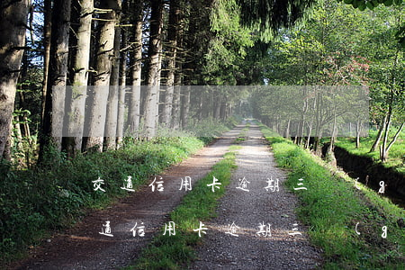 交通信用卡逾期三個(gè)月無力償還(交通信用卡逾期三個(gè)月無力償還怎么辦)
