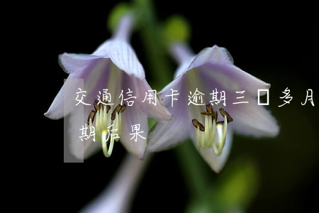 交通信用卡逾期三個多月了(三個月信用卡逾期后果)