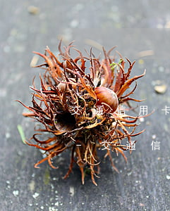 交通信用卡逾期三個月怎么協(xié)商-交通信用卡逾期三個月怎么協(xié)商還款