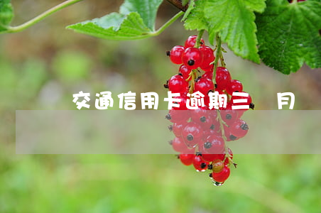 交通信用卡逾期三個月會坐牢