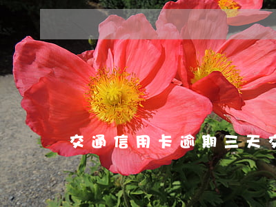 交通信用卡逾期三天(交通信用卡逾期三天)