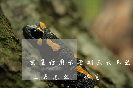 交通信用卡逾期三天怎么辦(交通信用卡逾期三天怎么辦停息掛賬)